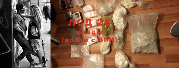 эйфоретик Бикин