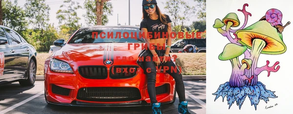 индика Остров