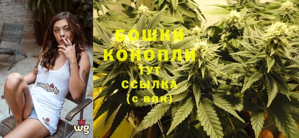 индика Остров