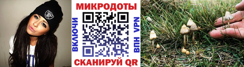 Галлюциногенные грибы мицелий  OMG как зайти  Яхрома 